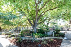 Oakwood Gardens outdoor walking paths and shade trees