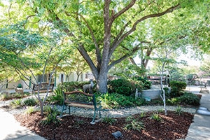 Oakwood Gardens outdoor park bench, walking paths and shade trees